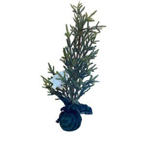 Tabletop Artificial Christmas Tree With Large Wrapped Base - Black/Green Buffalo